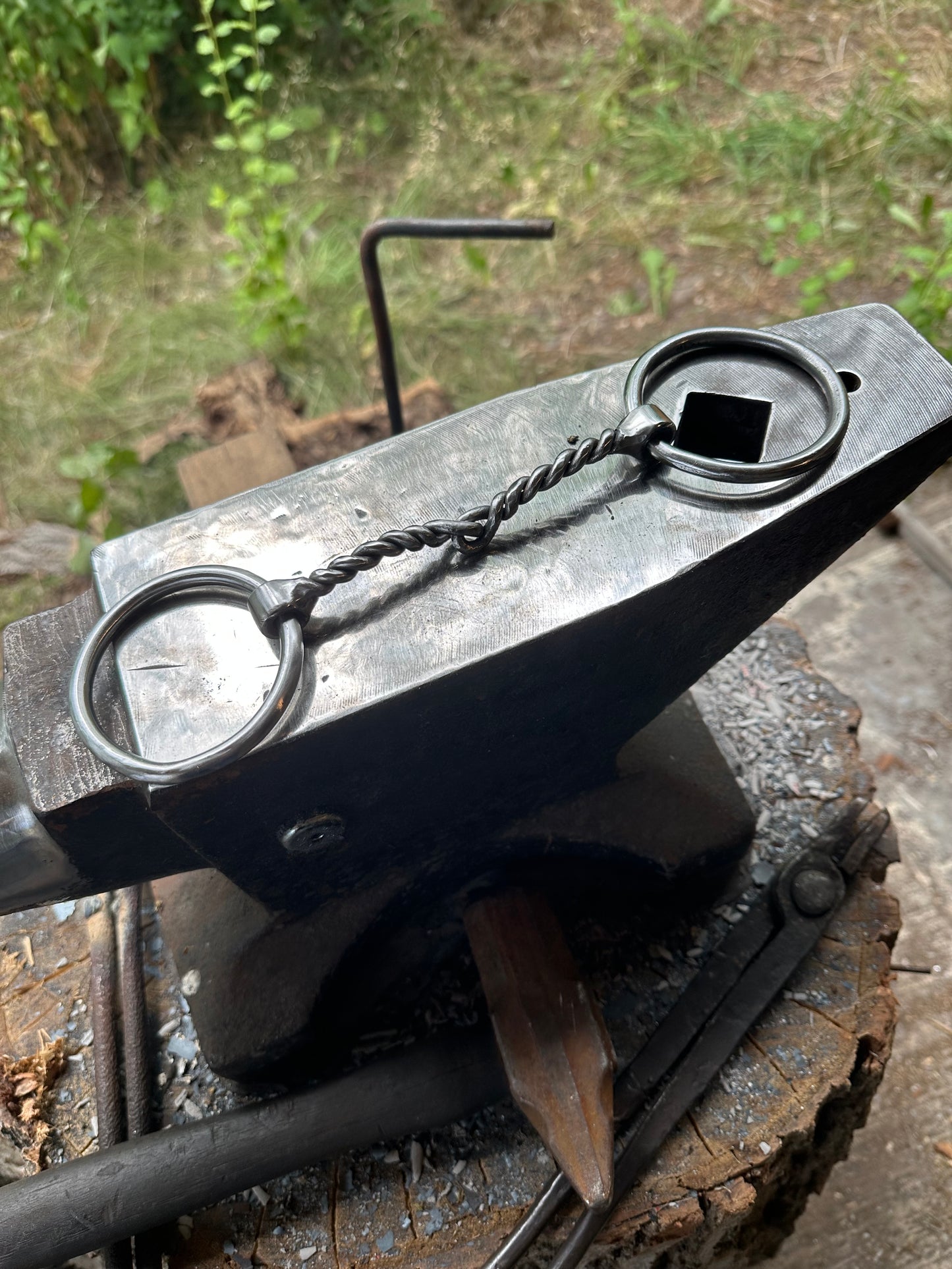 Twisted Wire Snaffle